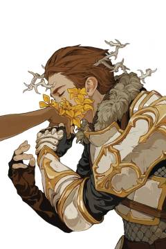 DRAGON AGE KNIGHT ERRANT