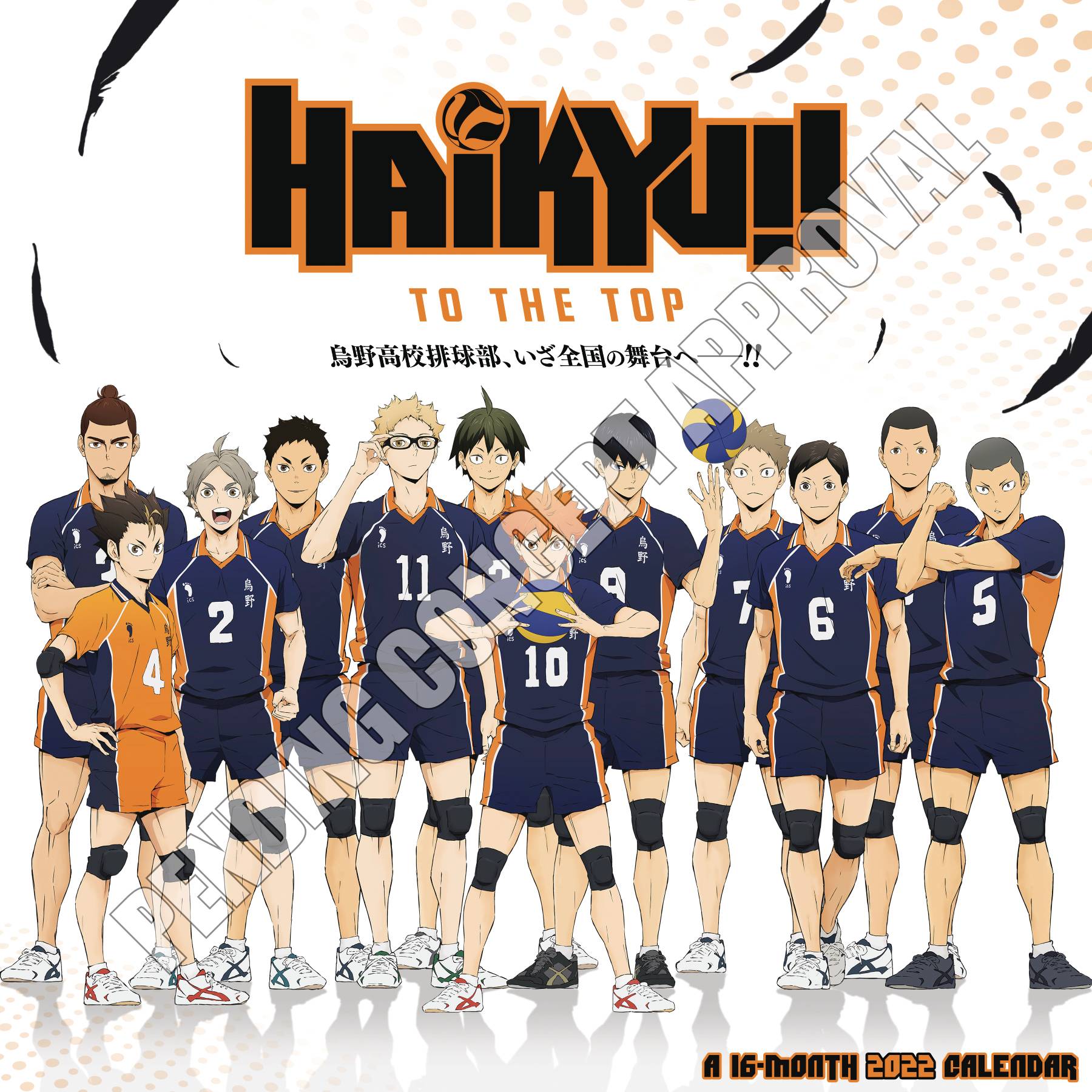 HAIKYU 2022 WALL CALENDAR