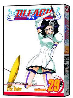 BLEACH TP 29