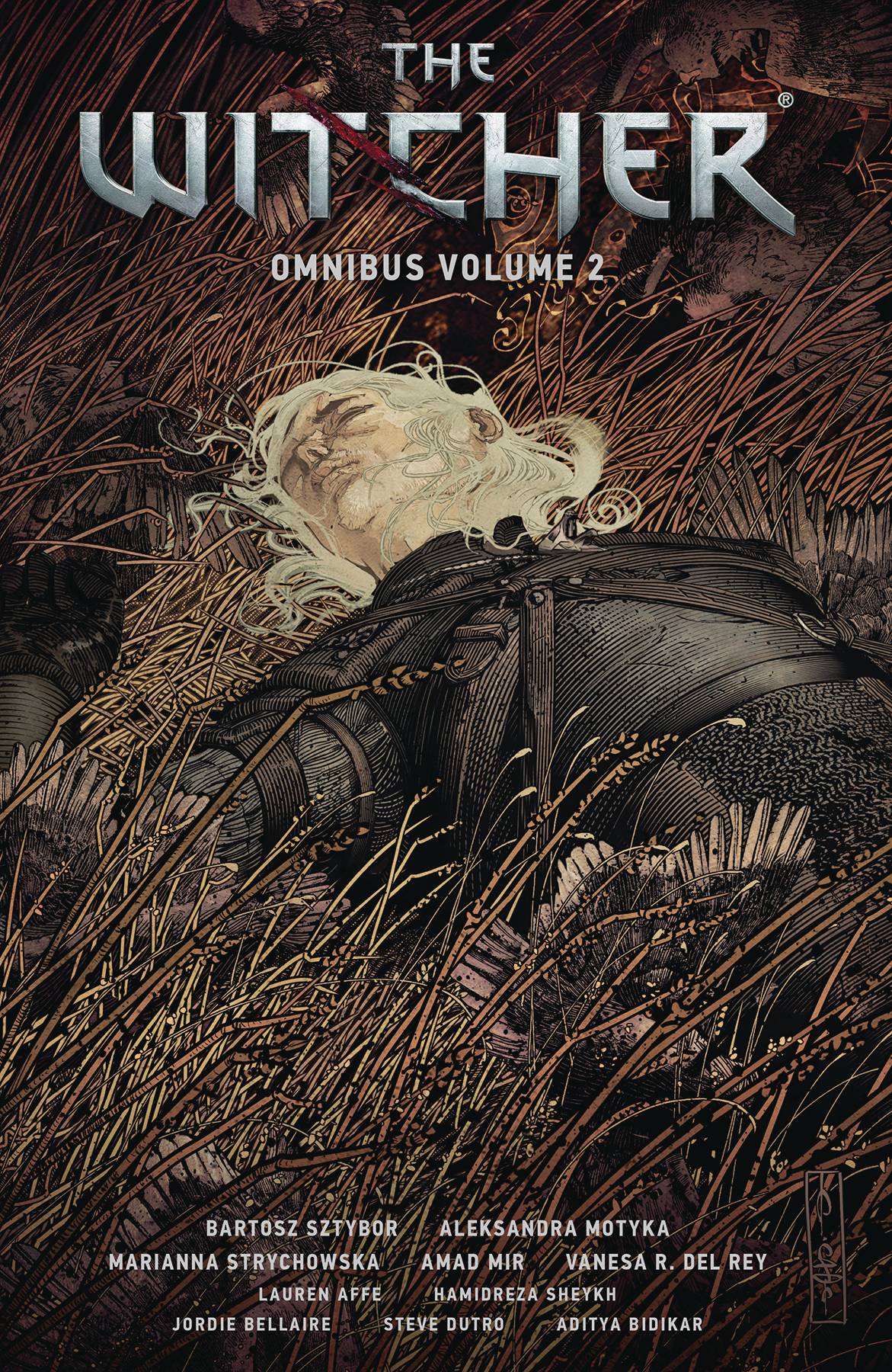 WITCHER OMNIBUS TP 02