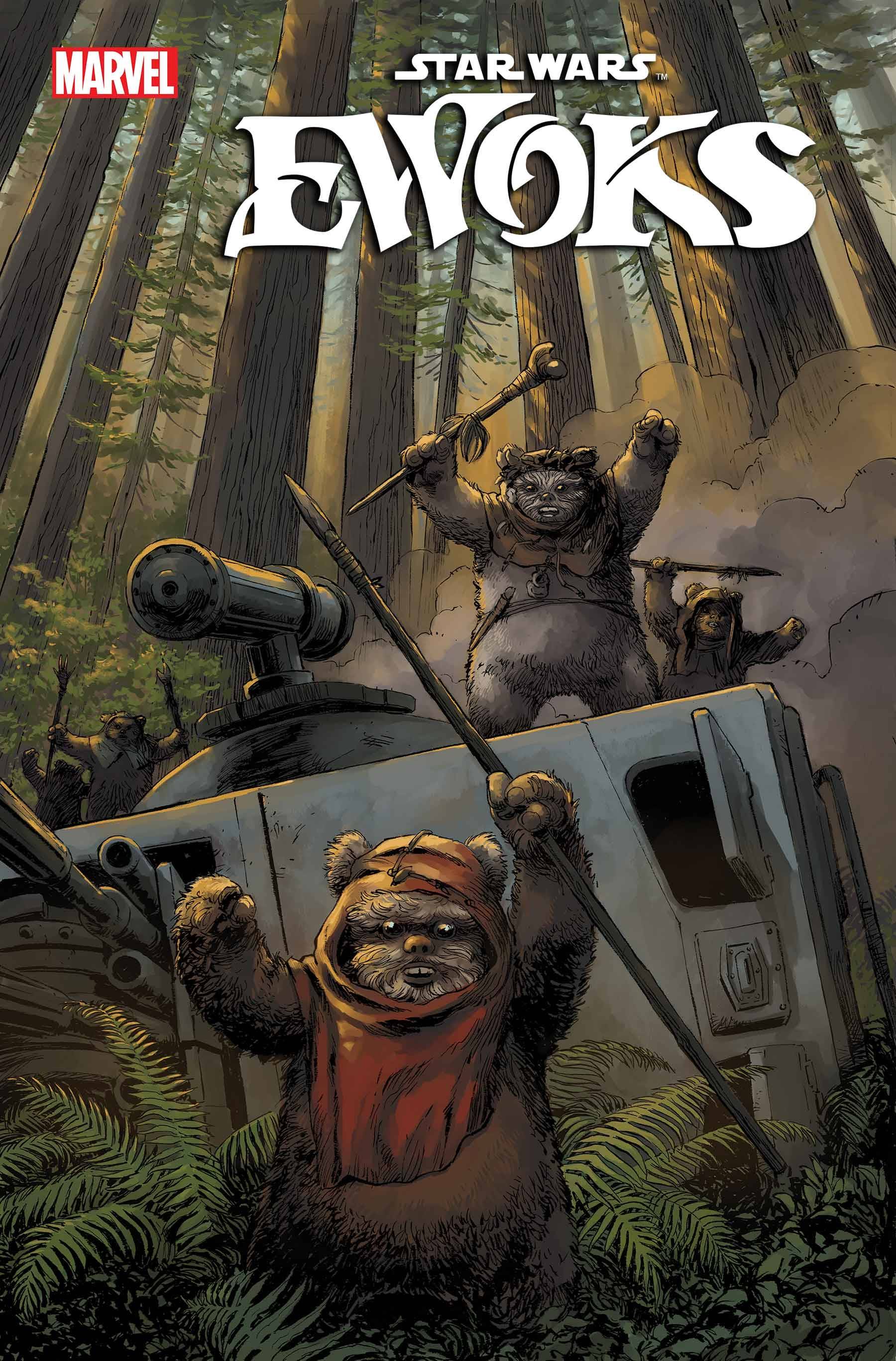 STAR WARS EWOKS