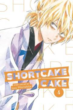 SHORTCAKE CAKE GN 04