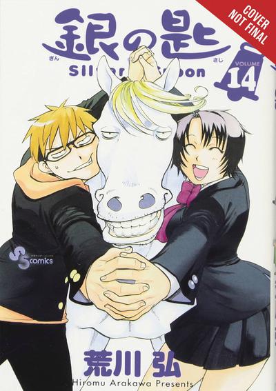 SILVER SPOON GN 14