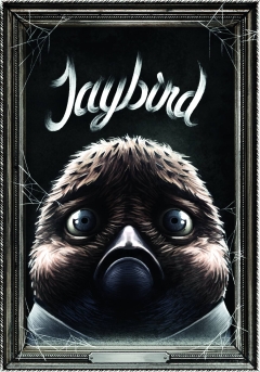 JAYBIRD HC