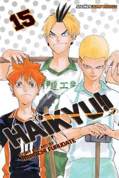 HAIKYU GN 15