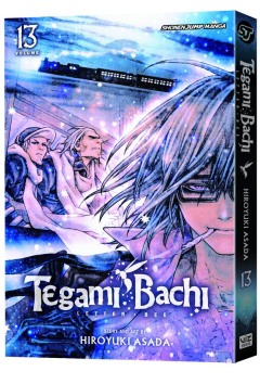 TEGAMI BACHI GN 13