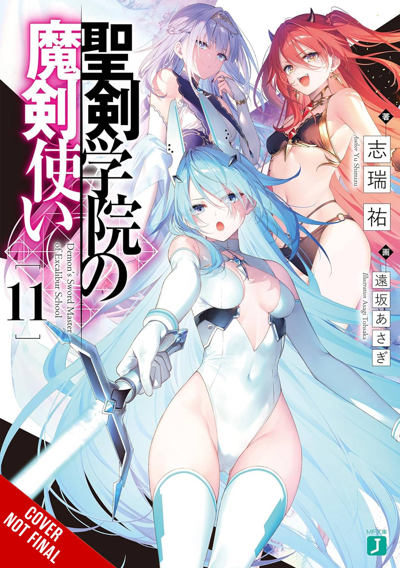 DEMON SWORD MASTER EXCALIBUR ACADEMY NOVEL SC 11