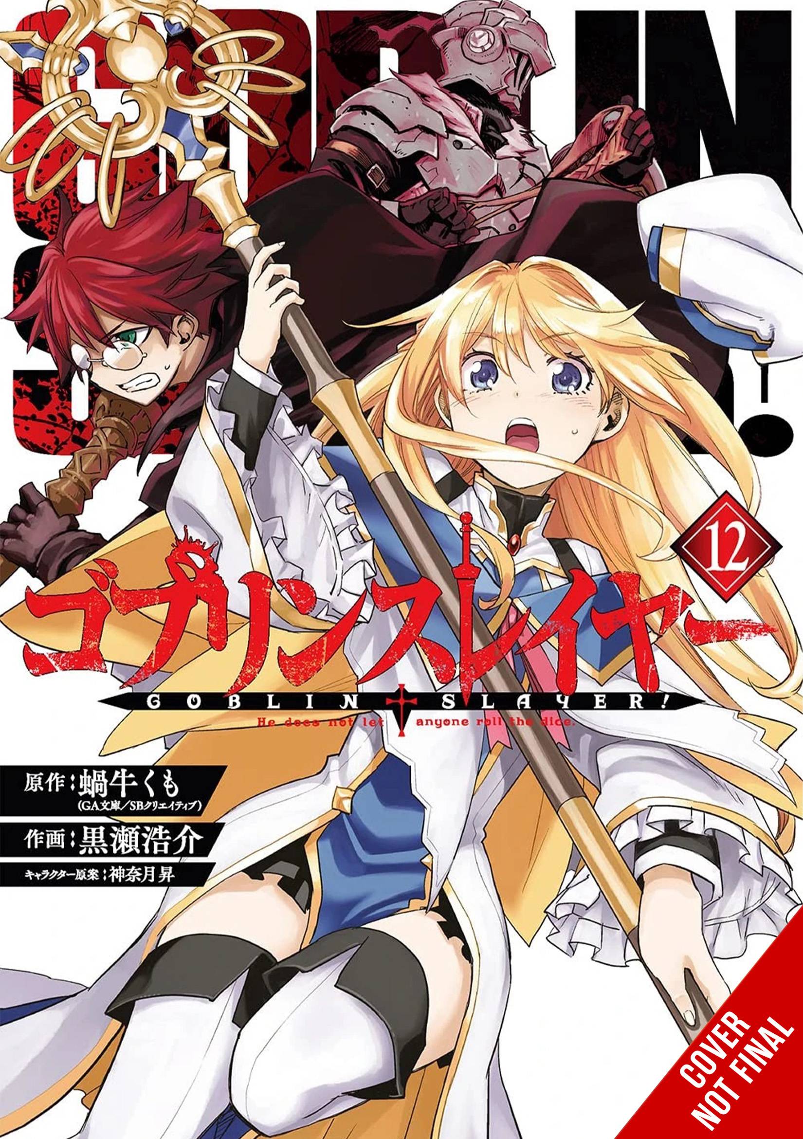 GOBLIN SLAYER GN 12