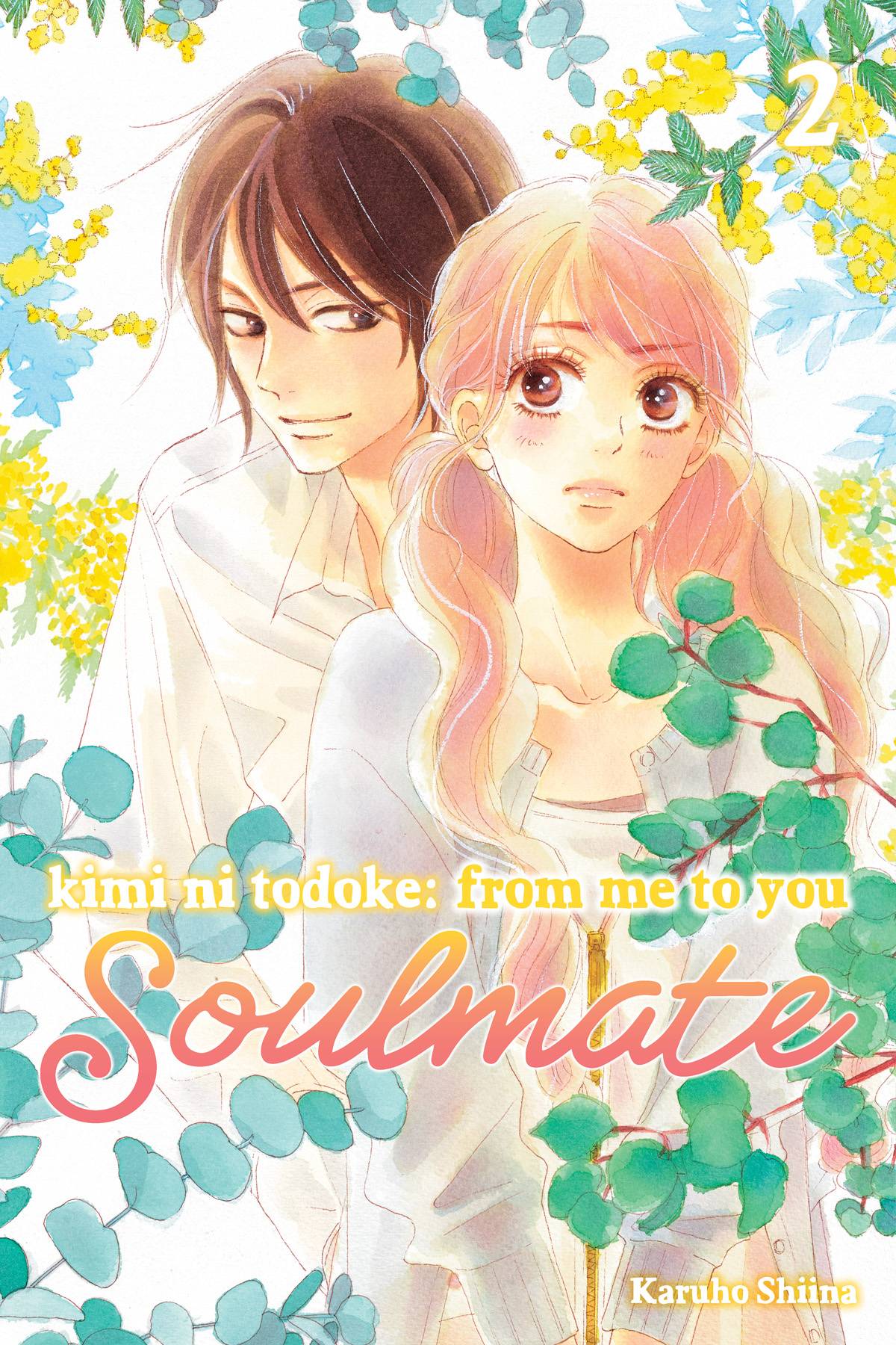 KIMI NI TODOKE FROM ME TO SOULMATE GN 02