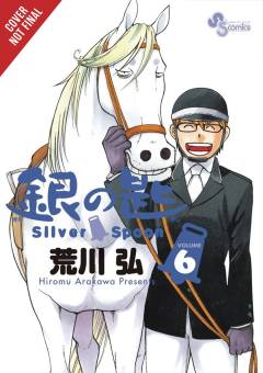 SILVER SPOON GN 06