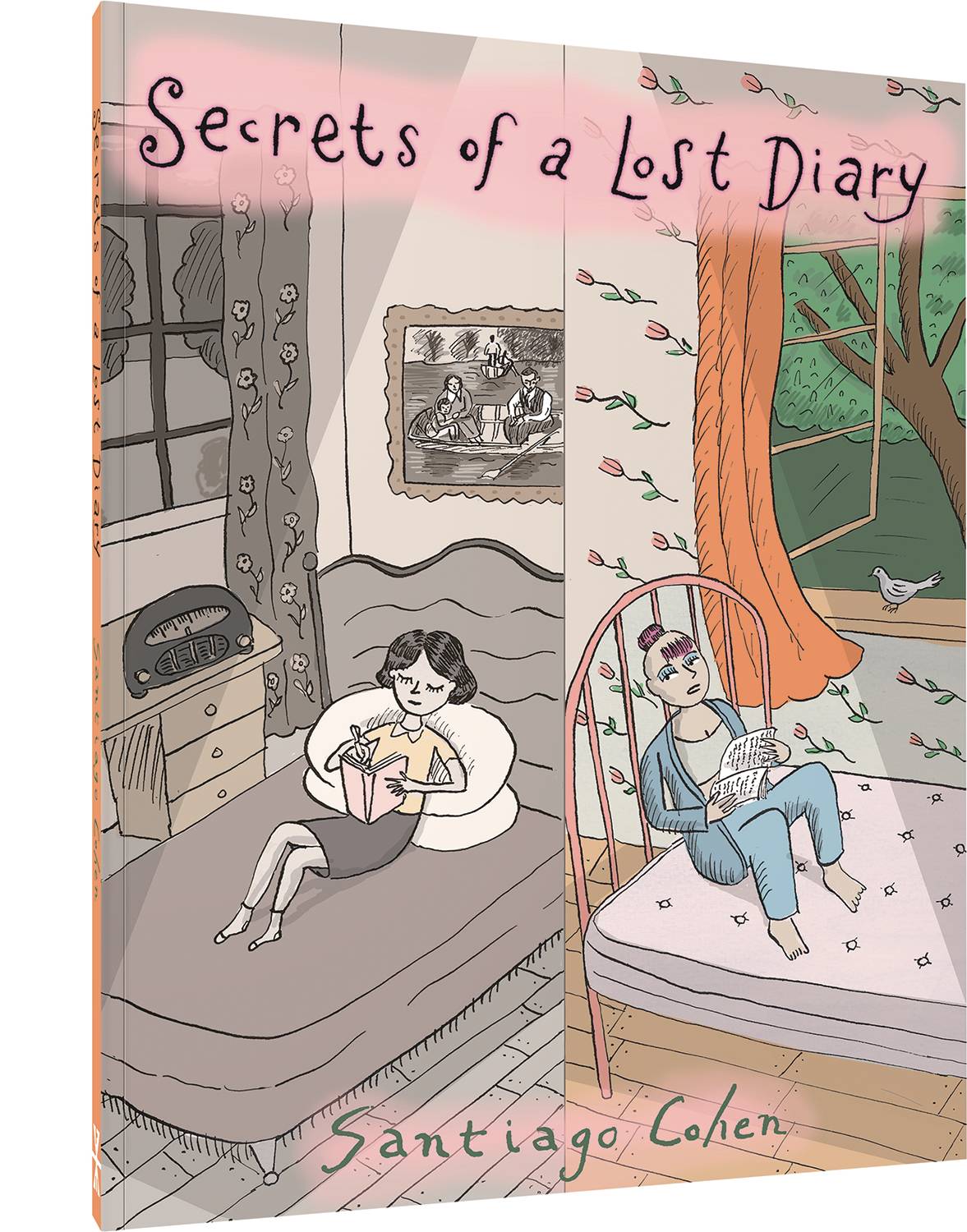 FANTAGRAPHICS UNDERGROUND SECRETS OF A LOST DIARY TP