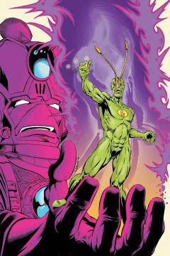 AMBUSH BUG YEAR NONE