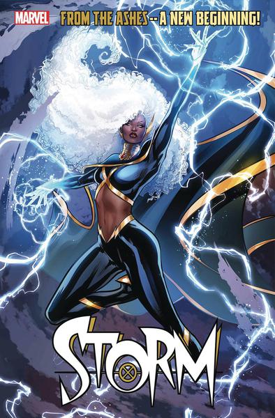 STORM -- Default Image