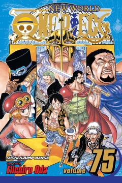 ONE PIECE GN 75