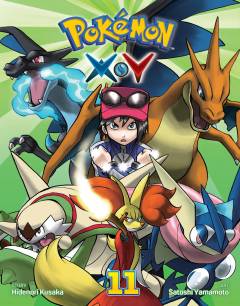 POKEMON XY GN 11