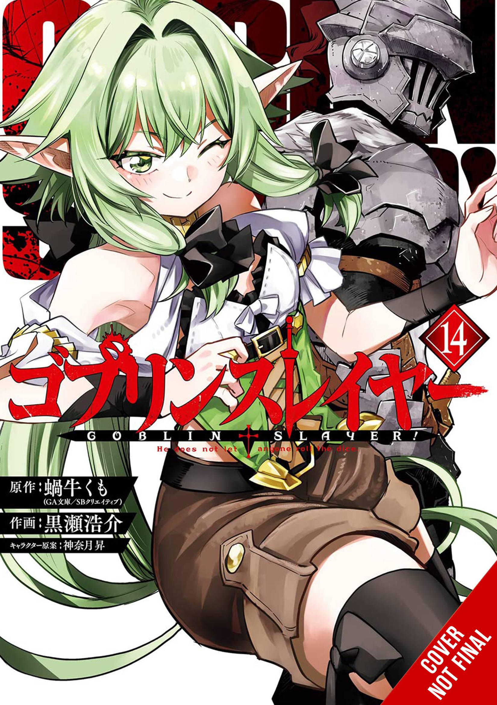 GOBLIN SLAYER GN 14