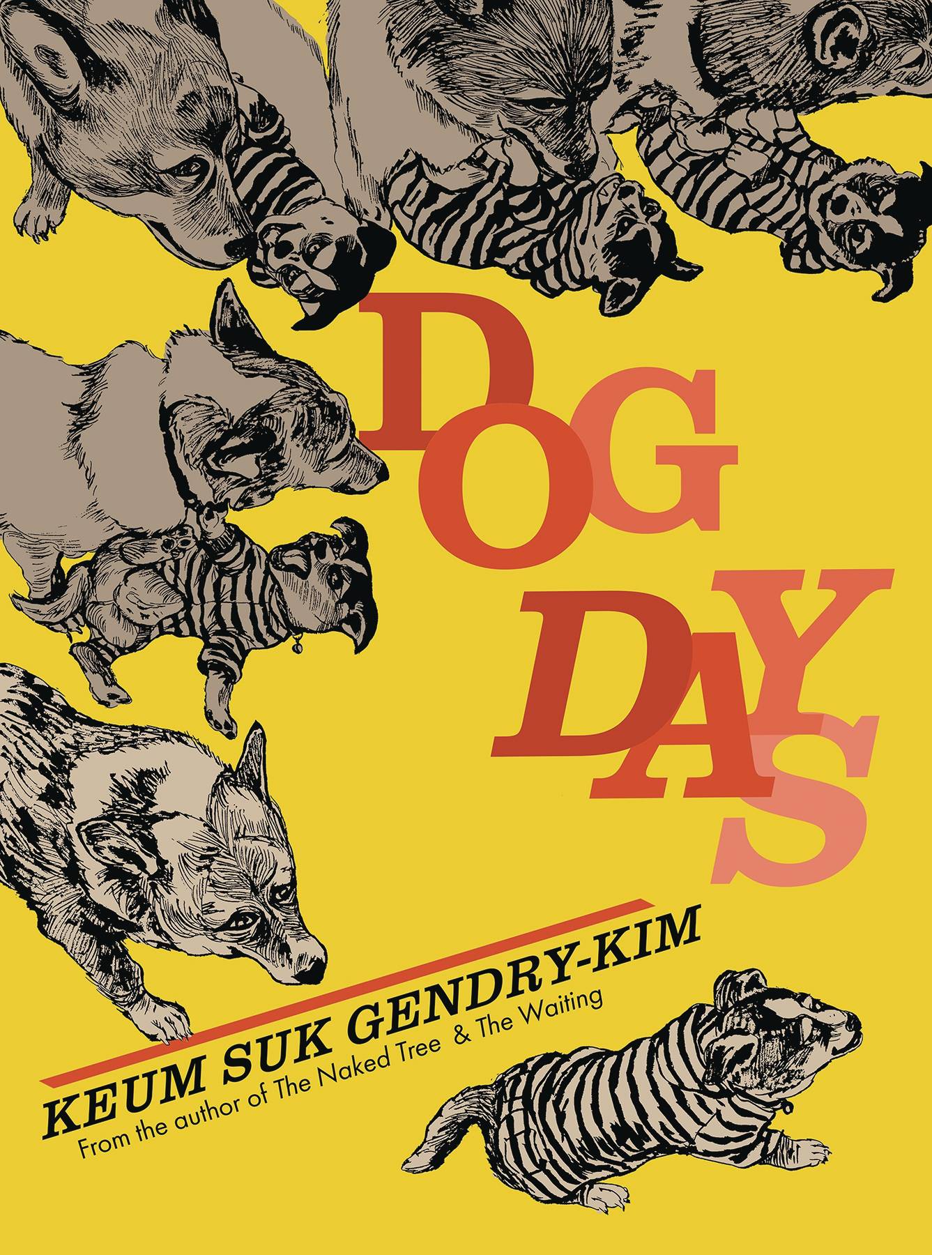 DOG DAYS TP (D&Q)