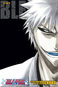 BLEACH 3IN1 TP 09