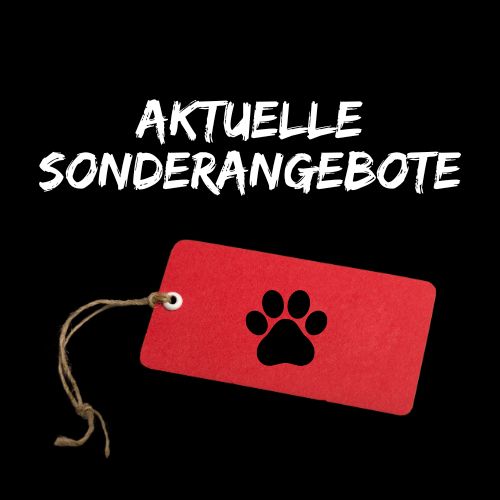 Aktuelle Sonderangebote